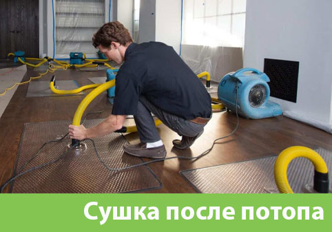 Сушка после потопа в городе Пенза