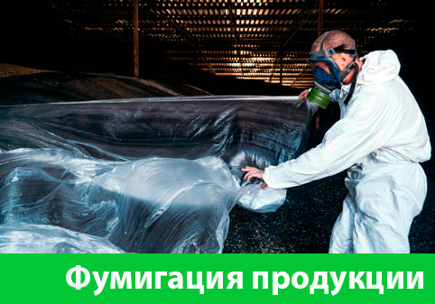 Фумигация продукции в городе Пенза